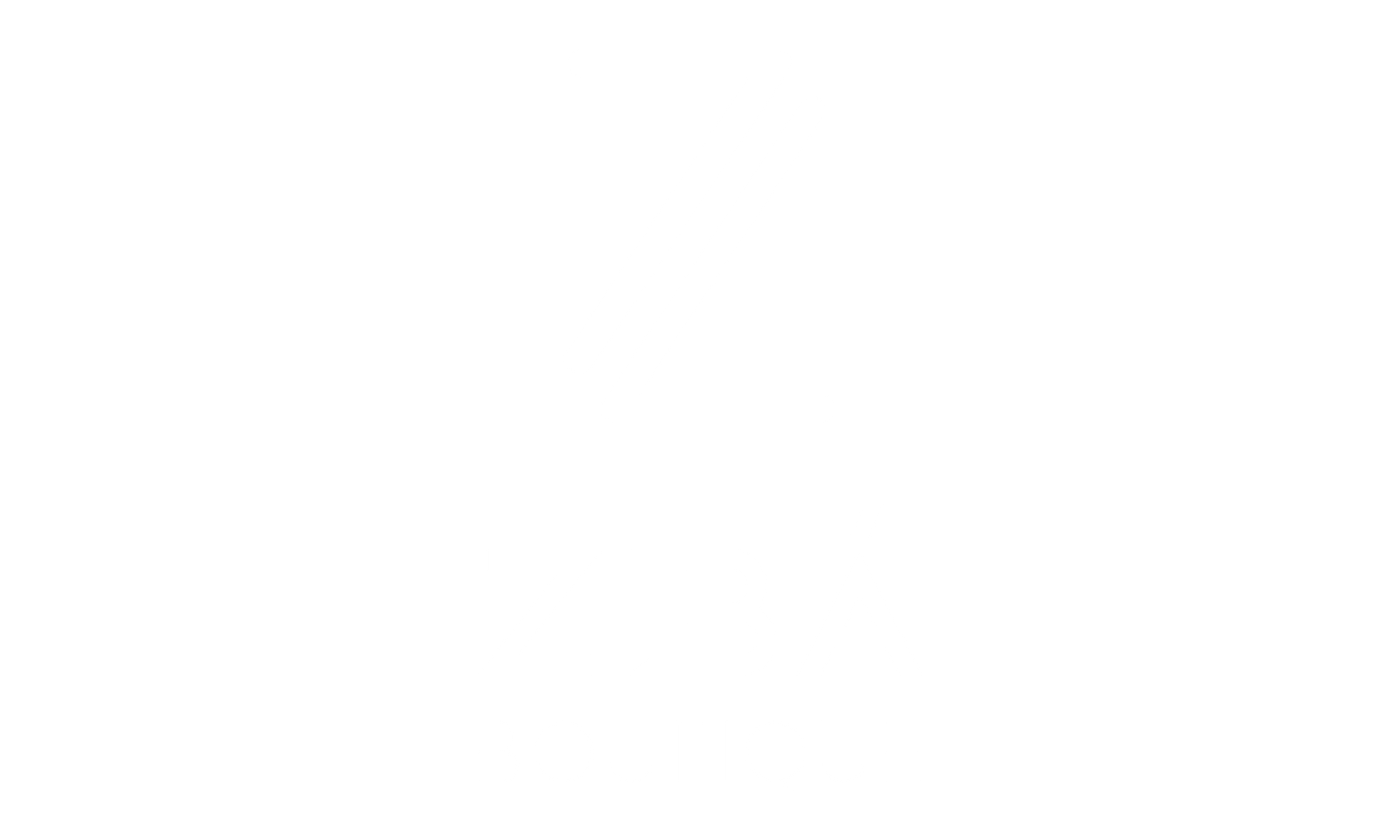 Zibá transparent logo